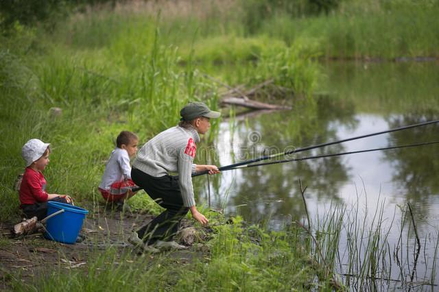 鲫鱼|野钓:鲫鱼的集中位置如何找？钓它需要注意什么？用什么饵钓？