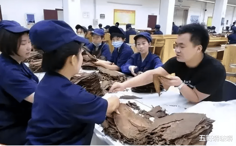 考高分也没资格进烟草？上海烟草录用名单曝光，印证了张雪峰的话！