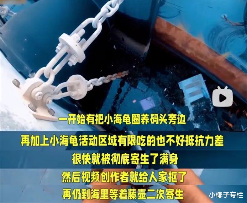 馒头|“一顿吃102个馒头，8捆线面”：又一网红，被困在新型流量密码里