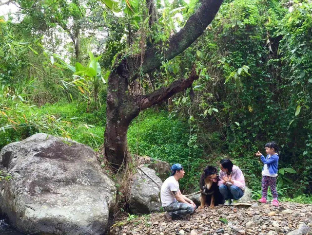 52岁朱茵现状:住深山残屋,开97年破车,久违露面大变样