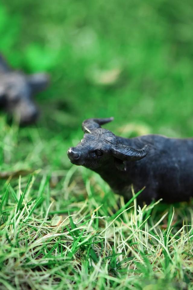 邮票|不只手镯！乌鸡翡翠雕牛，别有风味~