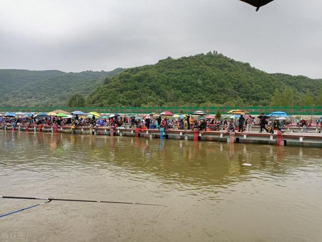 北方冬天钓鱼难？黑坑大棚备好这几招，稳定鱼获连竿到手软！