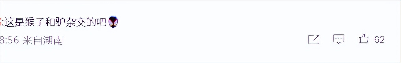 张柏芝|星爷翻车?美猴王惨变大毛驴 周星驰监制美版西游记引争议