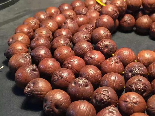 文玩界的黑马：紫金鼠菩提子的独特魅力