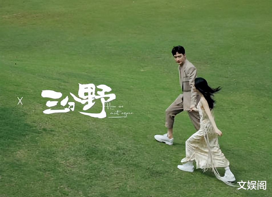 三分野|《三分野》：三个细节太逼真，刻画了现实职场暗战！