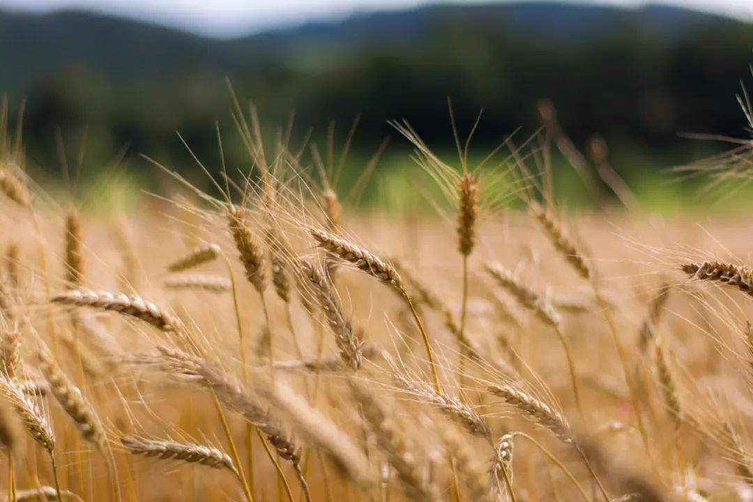 穿衣搭配|3-6月,鸿运当头,情场得意,职场顺心,幸福且富足的3个生肖