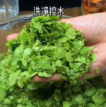 陈萌|露馅了!陈萌穿睡衣喝汤,大衣嫂做饭伺候她和小伟,贤惠疑是幌子!