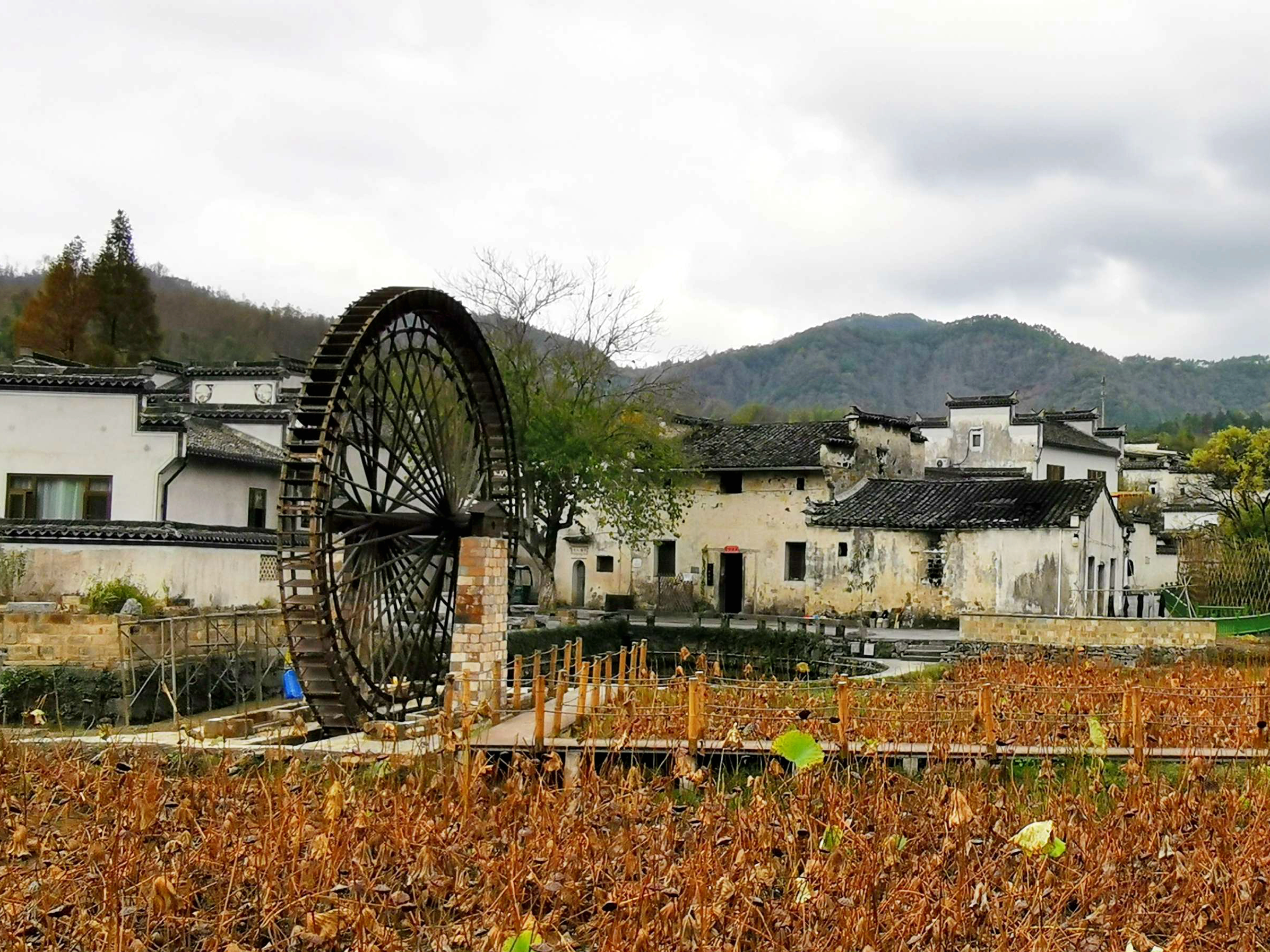 西递|西递古村落，古朴宁静民风好学，书香气息扑面而来