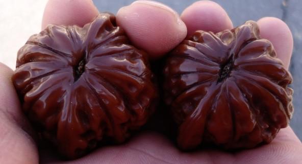 文玩|文玩避坑，避免走弯路，这八条忠言逆耳，有必要收藏