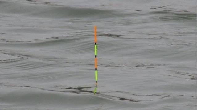 天天钓鱼|长手竿用小漂小钩钓鲫鱼,抛不准窝点,用大漂重铅吗?不!