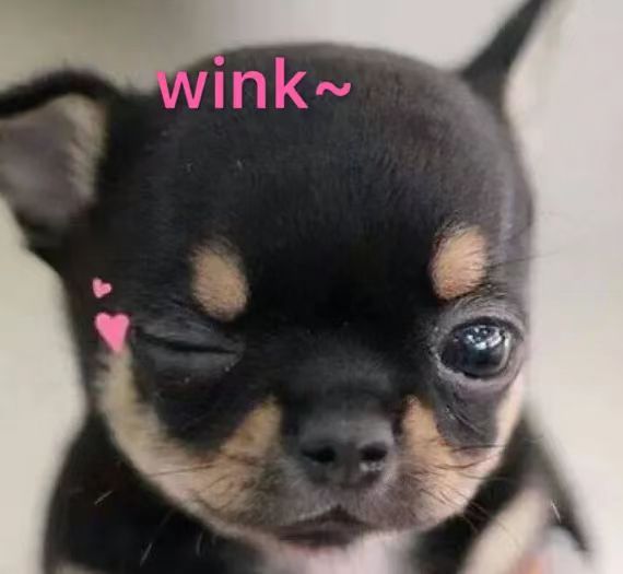 余文乐回应婚变传闻！一家在公园被偶遇，余文乐胖到认不出。