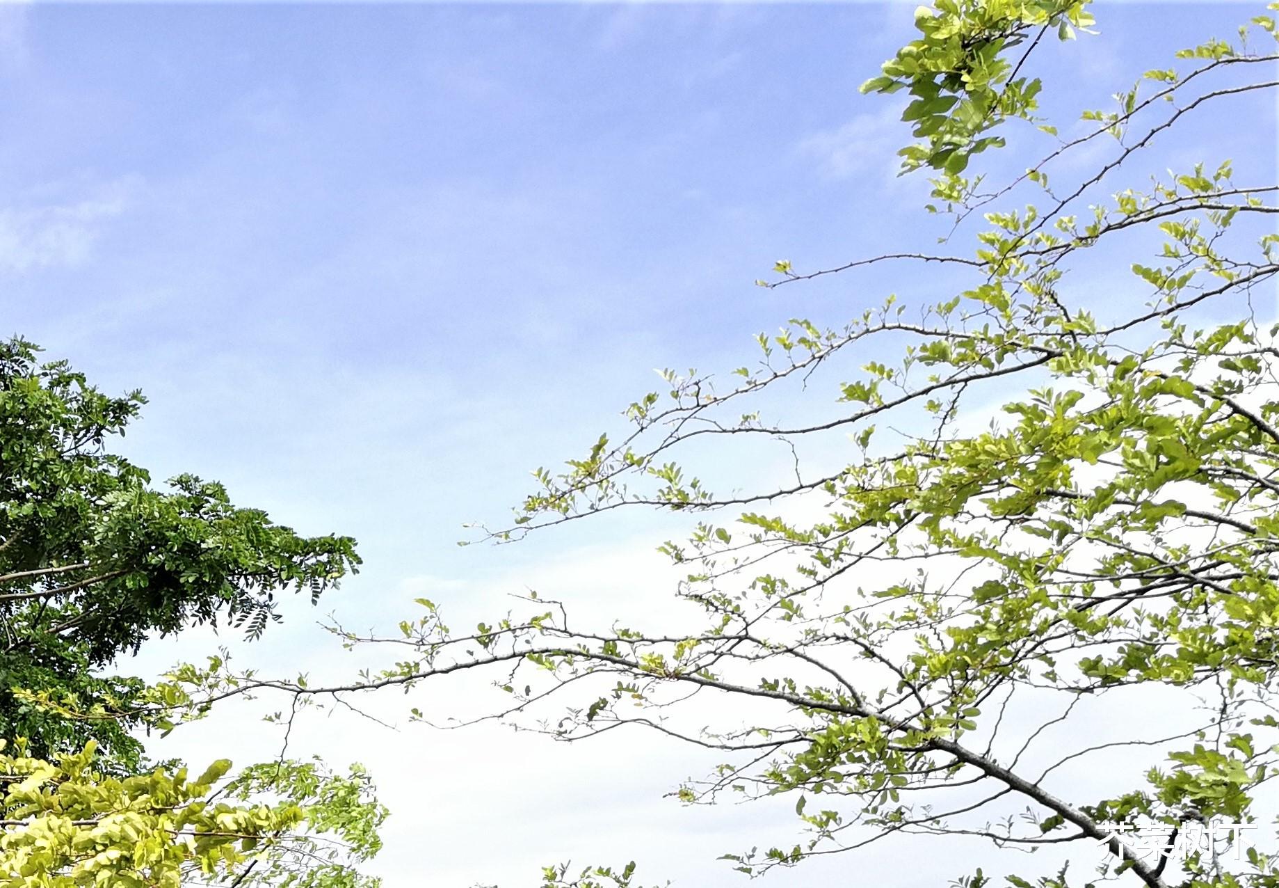 |所谓人情,所谓世故