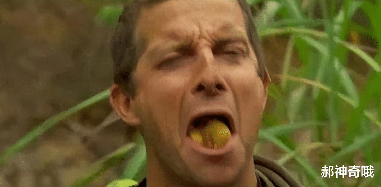 洋葱|中国“最难吃”的6种蔬菜,吃过一半是牛人,全吃过是大神