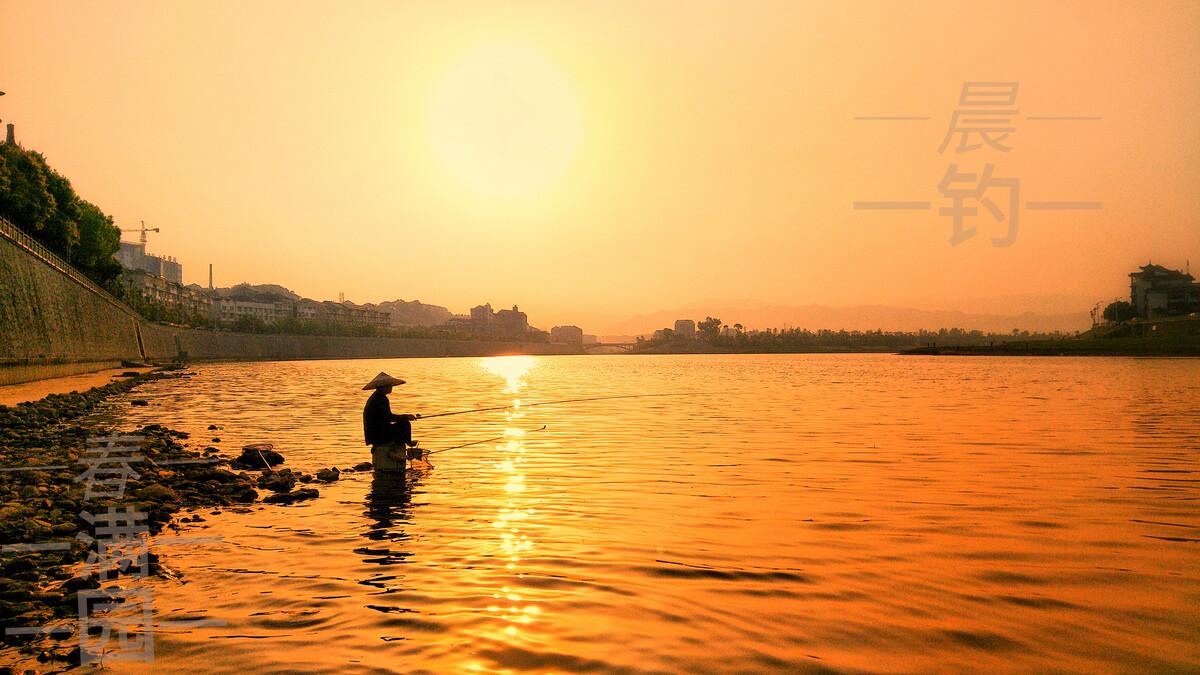酷暑夜钓,早晨却一口没有,原因何在?钓友们又该如何应对?