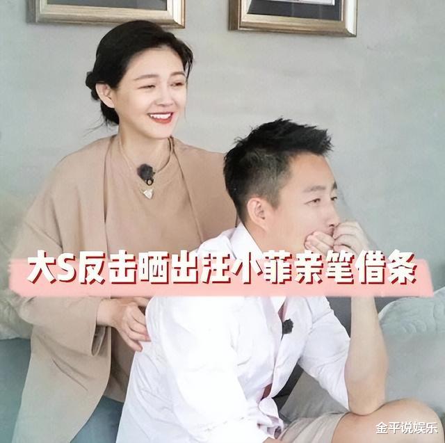 张嘉倪|谁说嘉倪傻?同是离婚,大S因抚养费颜面尽失,买超却卖房给钱!