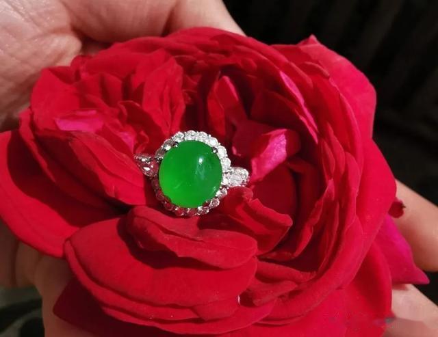 邮票|惊蛰 | 翡翠 · 花影