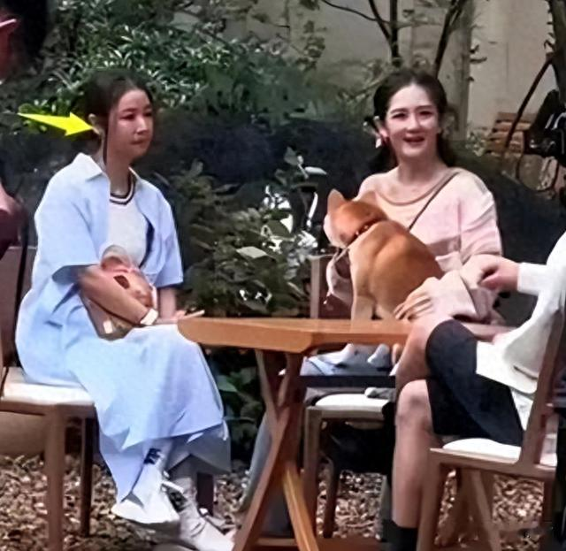 “不老女神”都是假的,从蒋勤勤到林心如,个个生图精修反差大