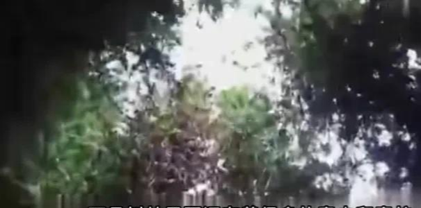 警察|被骗到缅北的受害者亲身讲述:被电击剁手割腰子连自杀都是奢望!