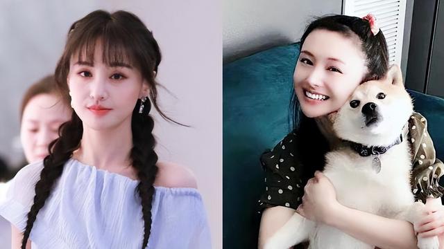 “退网”两年后,看看如今郑爽的“窘迫”,真是让人又痛恨又可怜