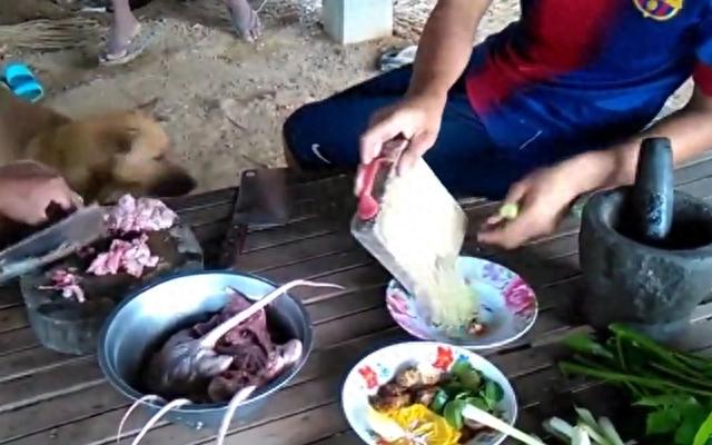 |躲过了中国人的筷子,却被越南人当做美食?越南人为啥爱吃鼠肉?