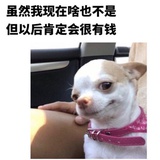 浩澜看美食