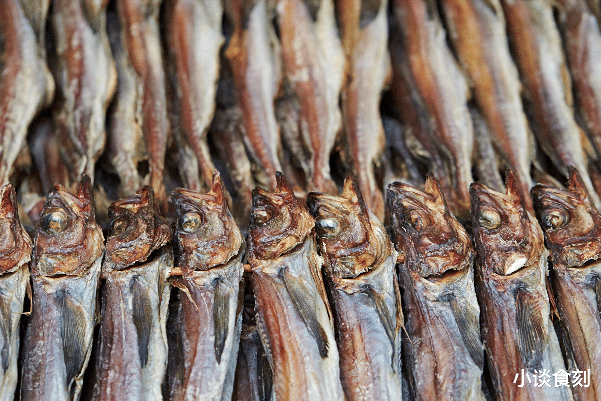 |中秋家宴,5种“不吉利”的鱼别端上桌,寓意不好,还容易闹笑话