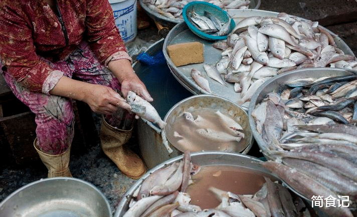 美食文化|中国“四大家鱼”，为什么没有鲤鱼？今天才知道，鱼也有地位之分