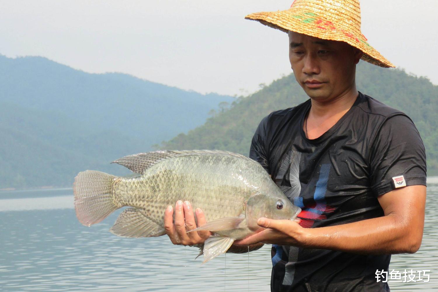 原神|5月正是罗非鱼开口的黄金期,5月钓罗非鱼的4个小秘诀