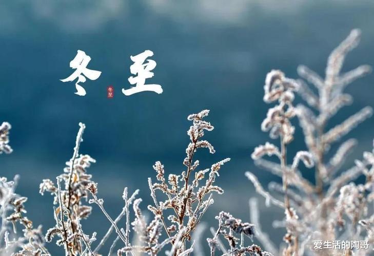 汤圆|明天冬至,记得吃4宝,老传统别忘