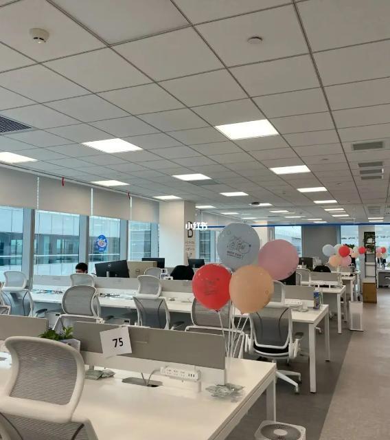 玩的就是心计|985硕士大厂裸辞,再找工作月薪3000立快乐人设,无人买账被狂喷