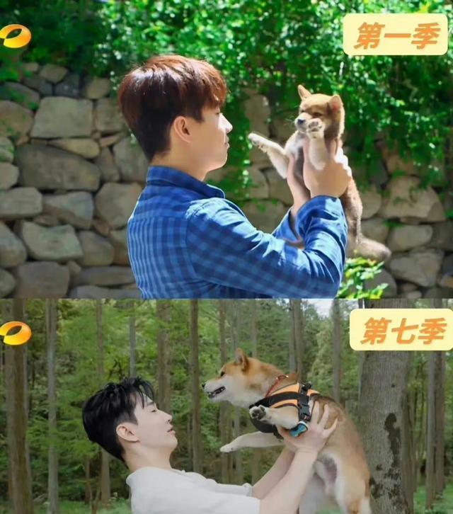 何炅|向往的生活综艺就要结束!重回第一季拍摄地,回忆往昔,恰是青春