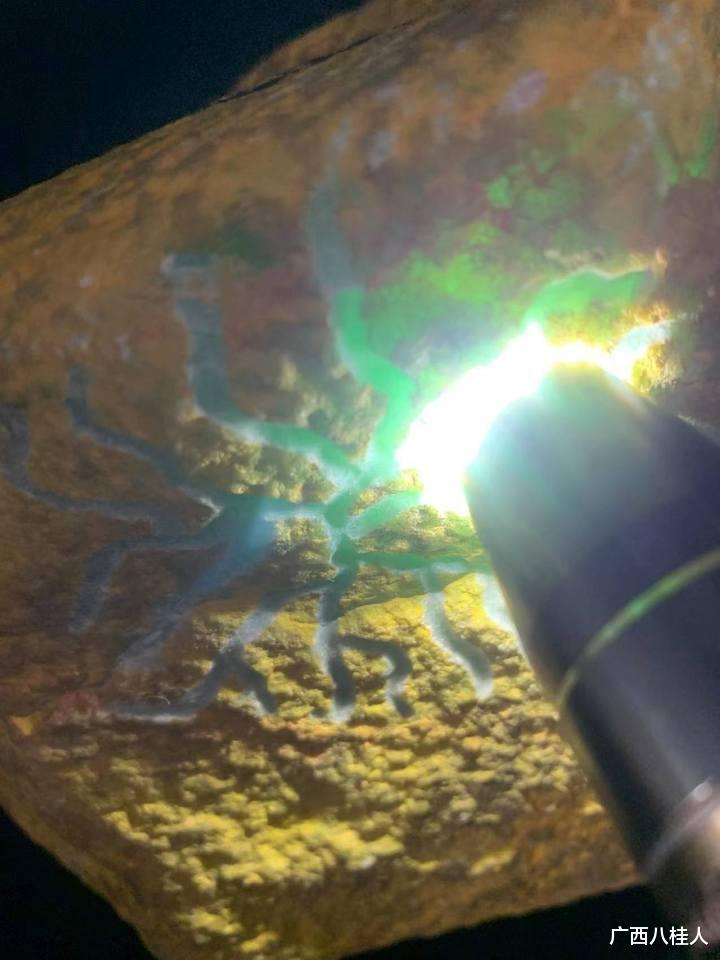 翡翠|赌石成功，一块11.4斤的石头4500元拍卖，被抬价201次2.53万成交