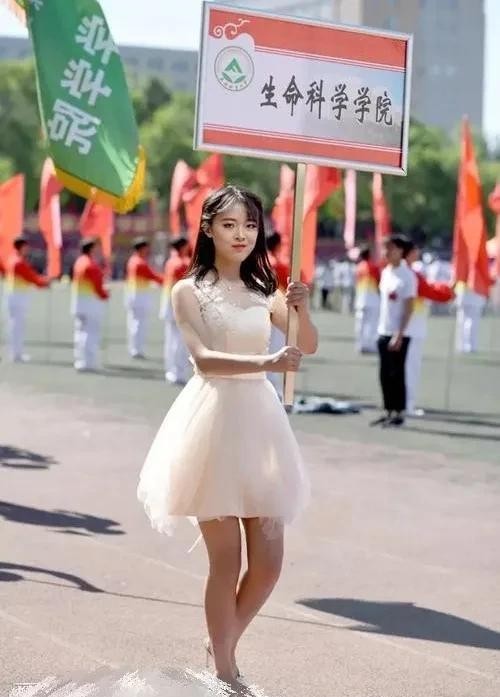 求职|“天坑专业”受害者有多惨?有的改行卖烤肠了,考生们别踩雷!