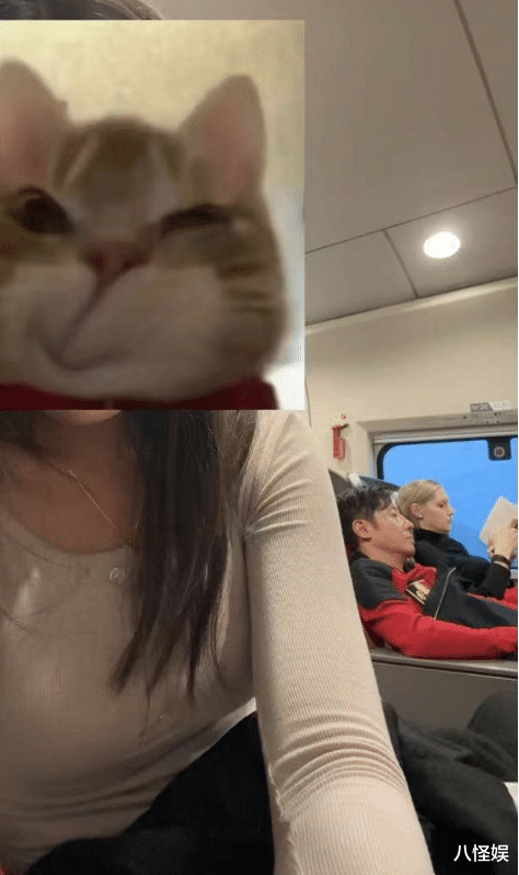 撒贝宁携妻子参加外甥婚礼,坐高铁一脸疲态,李白车上看书好优雅