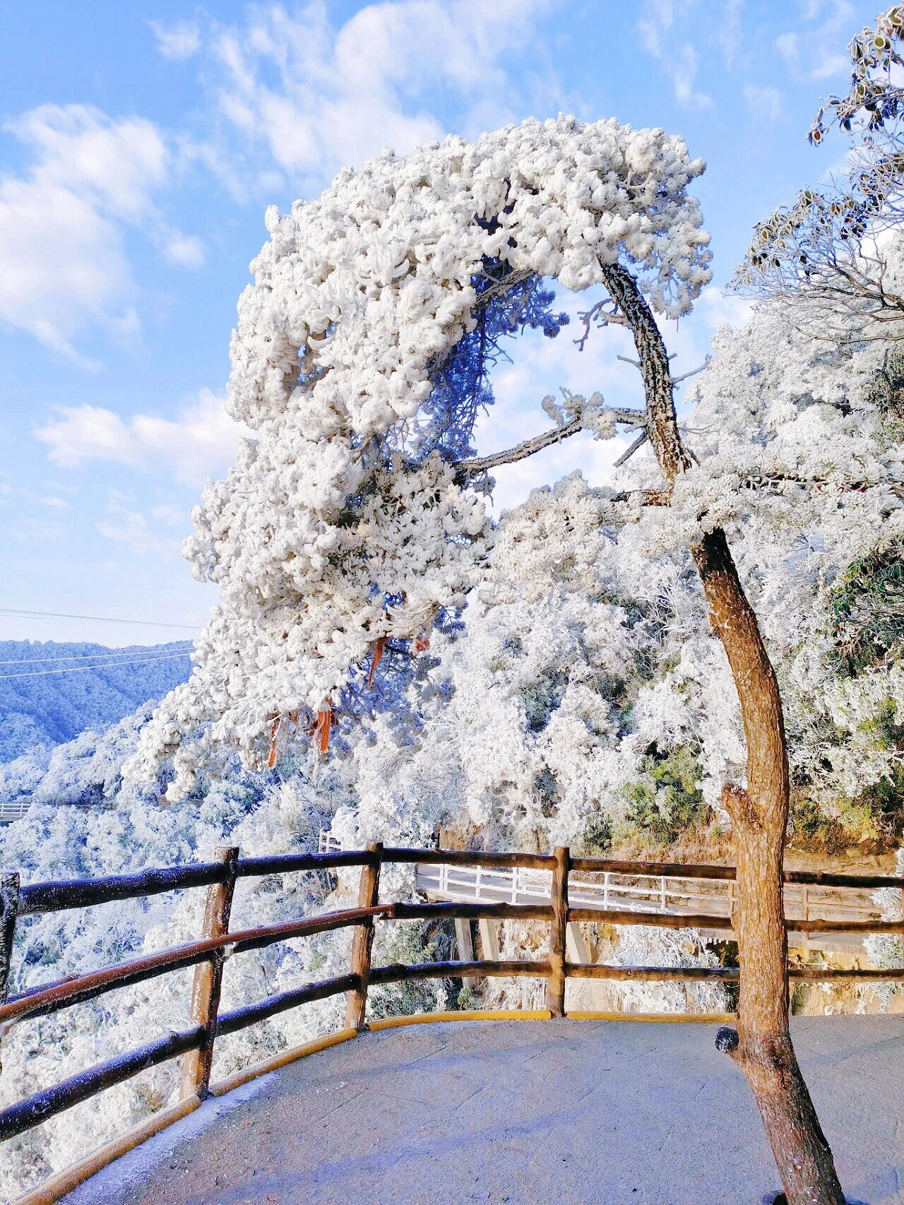 月入过万的抖音特效师,做共鸣文案特效