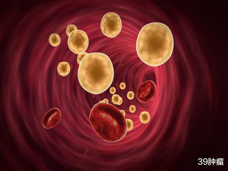 浙大研究:每天多吃一个蛋,心脏病和癌症死亡风险会增加?真的吗