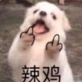 绍元娱乐
