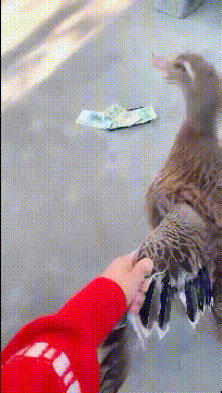 发型 女生最喜欢VS最讨厌的男生发型， 这谁顶得住啊！