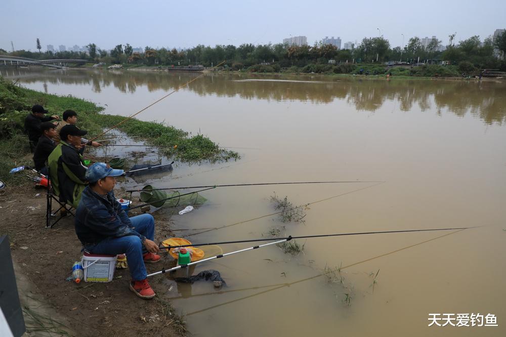 黑鱼|夏季钓鱼天热是难点,能做到这3点,照样能有好渔获