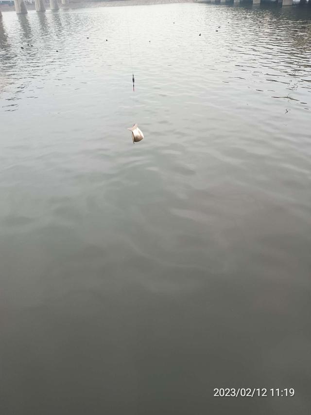 大爷|【钓鱼之家虾粉】阴雨绵绵,鱼口爆连,助人为乐,钓者本色