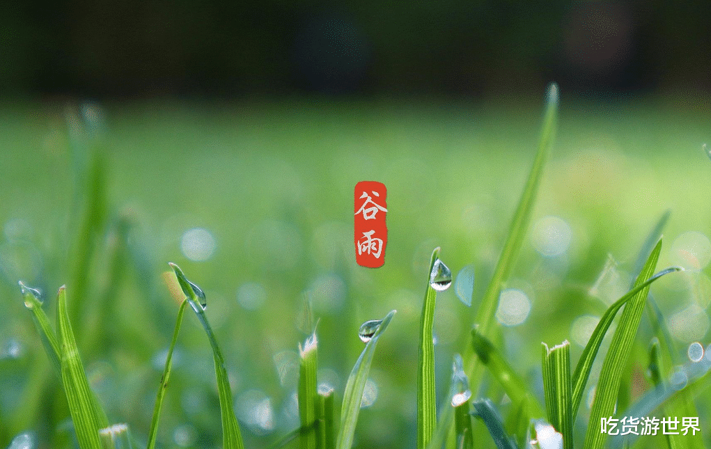 辣椒|老话说“谷雨吃3宝，不劳医生跑”，3宝指的是啥？老年人别忘记吃