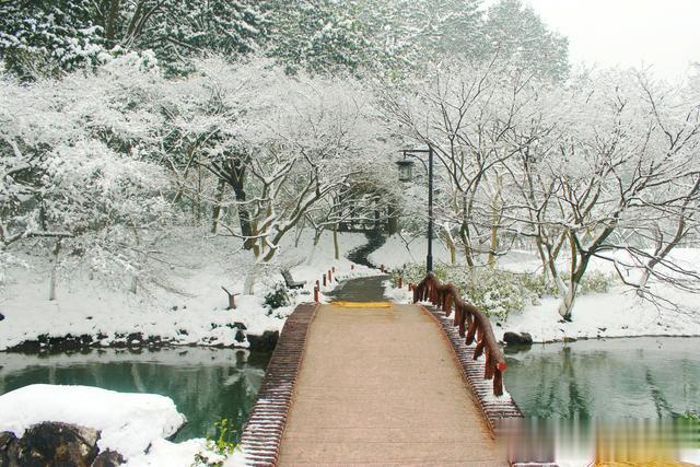 杭州|西湖边这免费公园，冬日雪后恍如童话世界，感受时光凝滞的那一刻