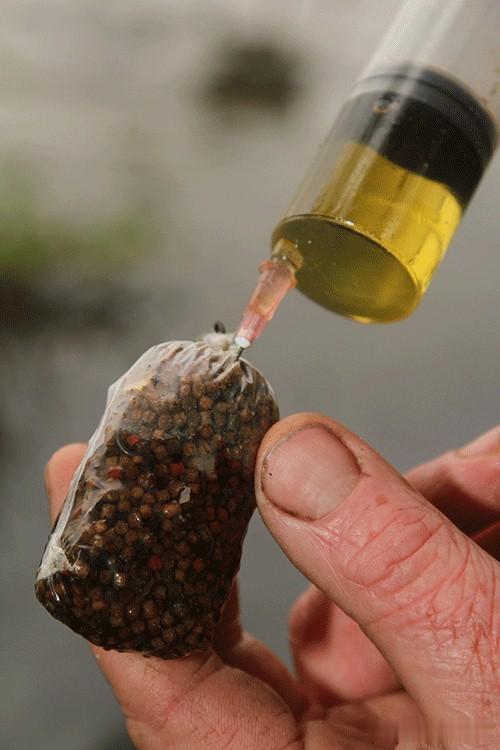 话说欧鲤钓|《话说欧鲤钓》抛投篇 装备节