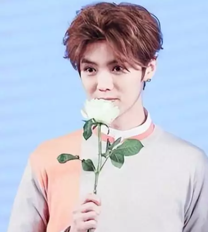 曾经“消失”的鹿晗，已经踏上了演员的另一条大道了