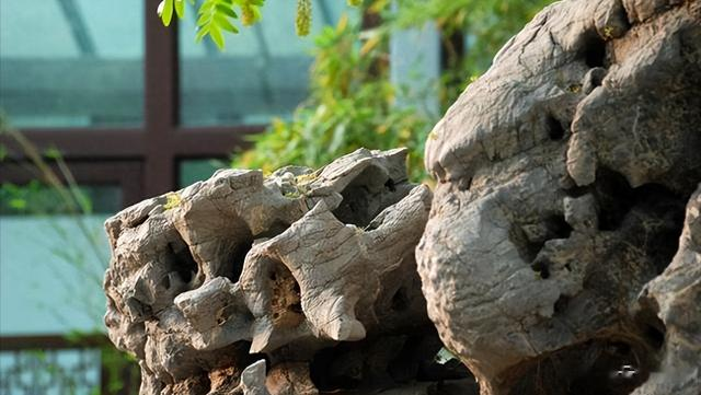 你见过土豪收藏的奇石吗