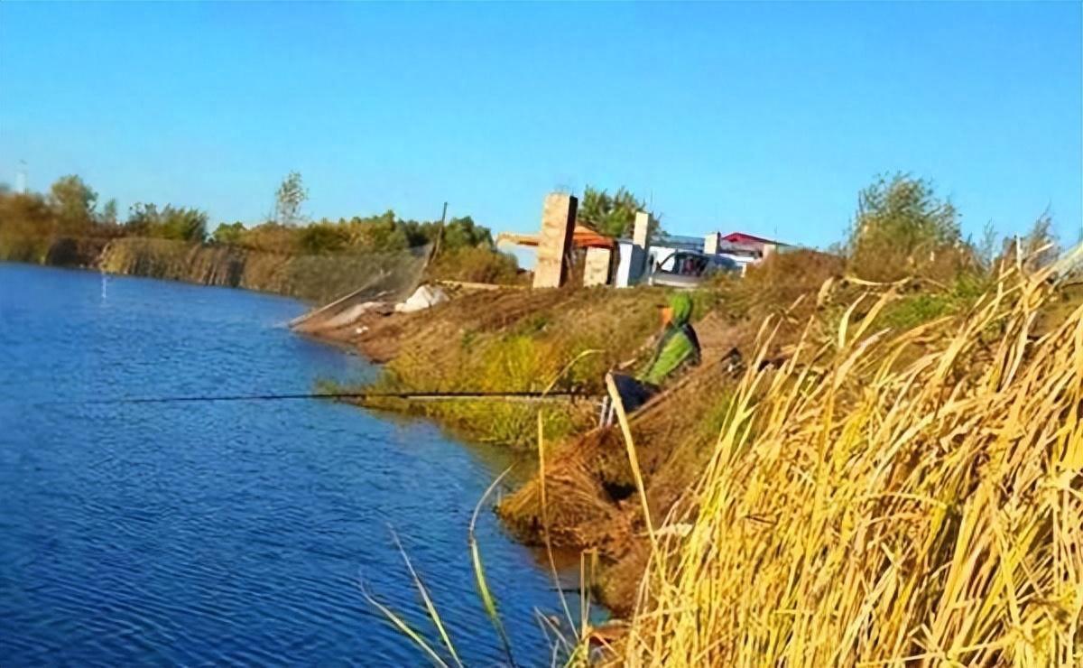 立冬后钓鱼,要谨记要这“五不”,仍然能享受到钓鱼的快乐!