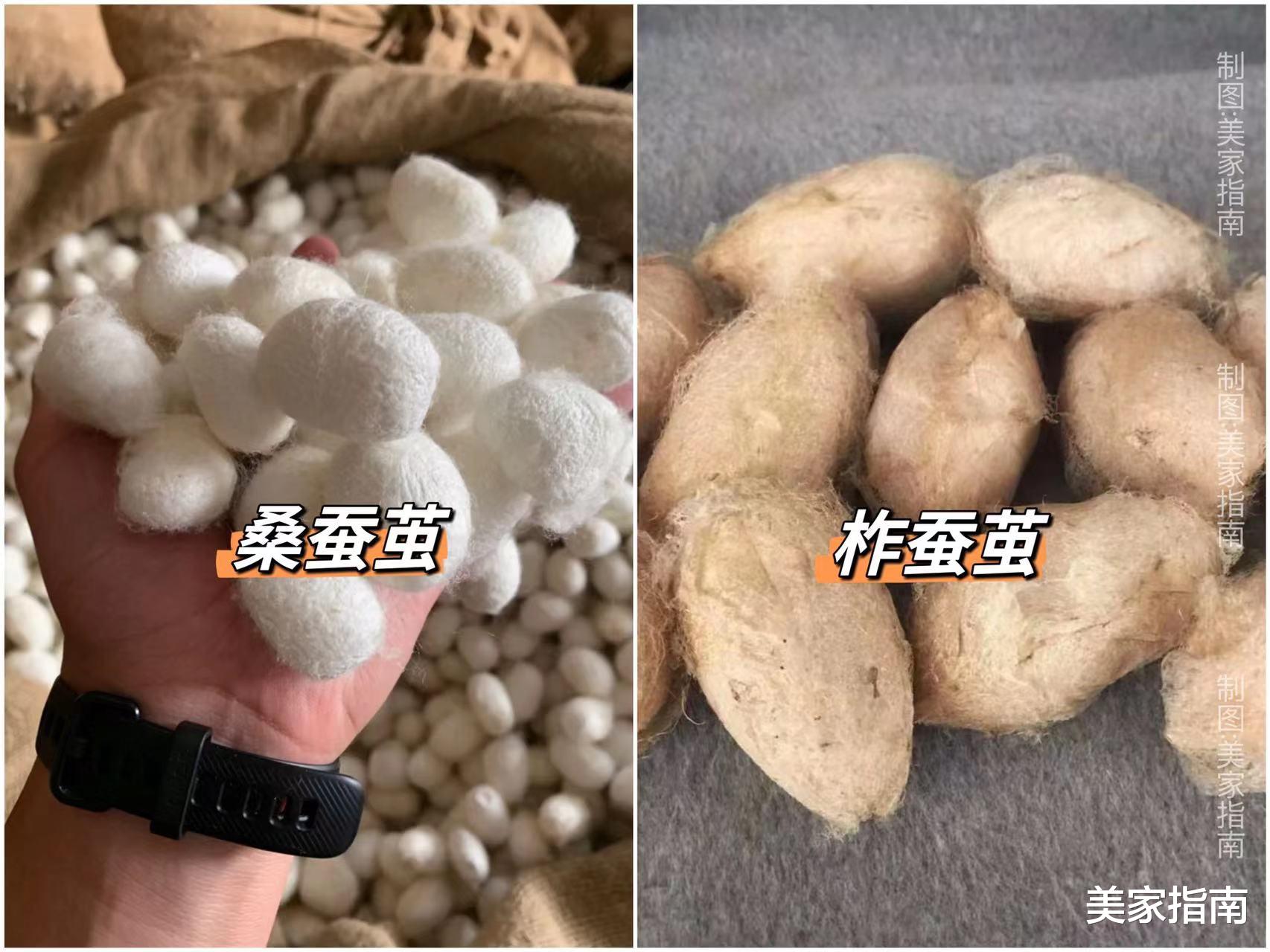 换了4次被子,我终于明白了200元被子和1000元多被子的区别
