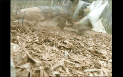 吴健|狂飙里一闪而过的龙套演员,以为是群众,其实是当年的顶流明星