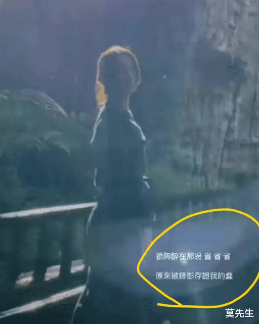 田馥甄|“双面人”田馥甄解禁?曝被邀请录《中餐厅7》,曾否认立场问题