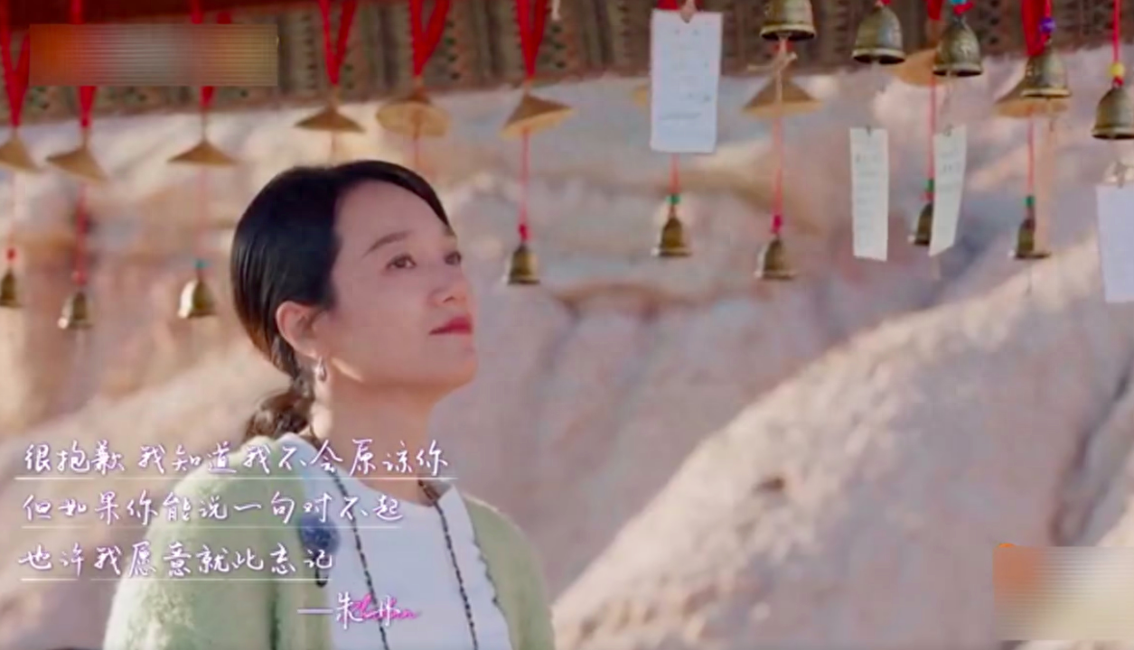 年底骗子多，朱丹被骗光积蓄，李沁、苏有朋、汤唯、李若彤都上榜